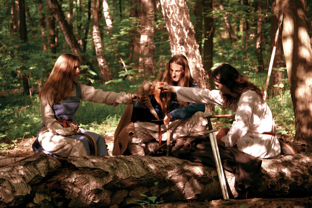 Viking`s Camp