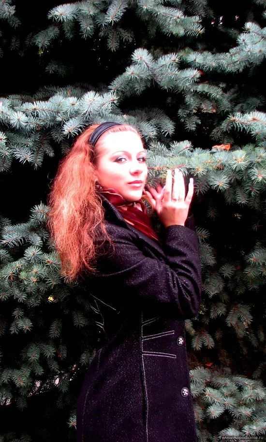 photo #239635