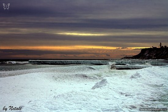 Фото Netali Barnes