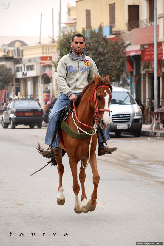 Фото Сара Мелешкевич