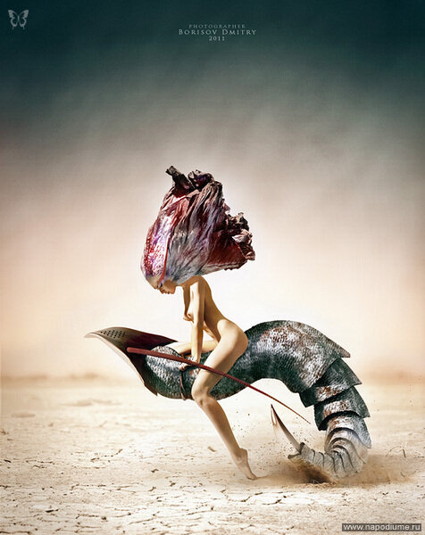 Фото Dmitry Borisov