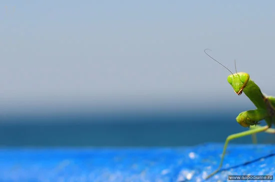 Andrew Evdokimenko's photo