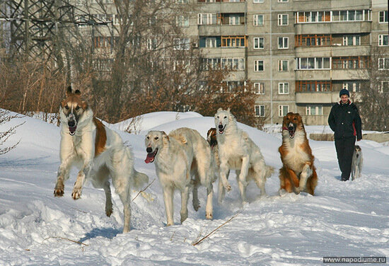 Фото Сергей Немо