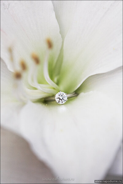 Фото Анна Шустова
