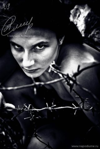 Фото Елена Котова