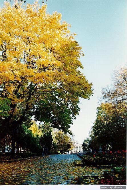 Фото Паша Рогіян