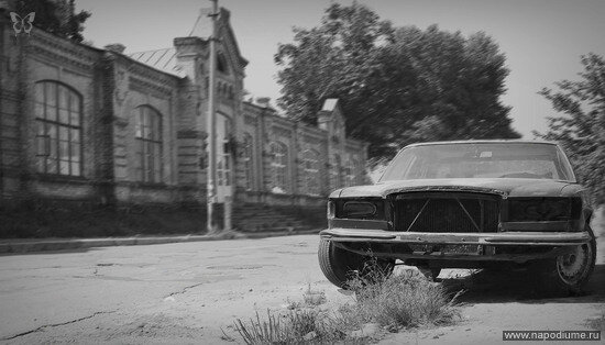 Фото Татьяна Дудник