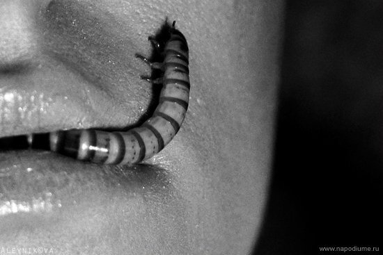 Фото Tatiana Aleynikova