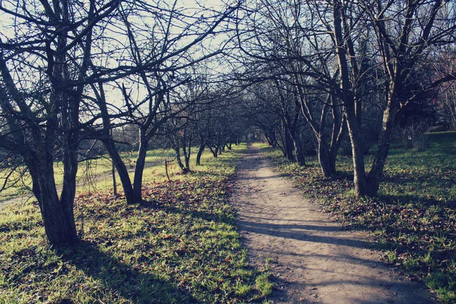 Фото наталья фролова