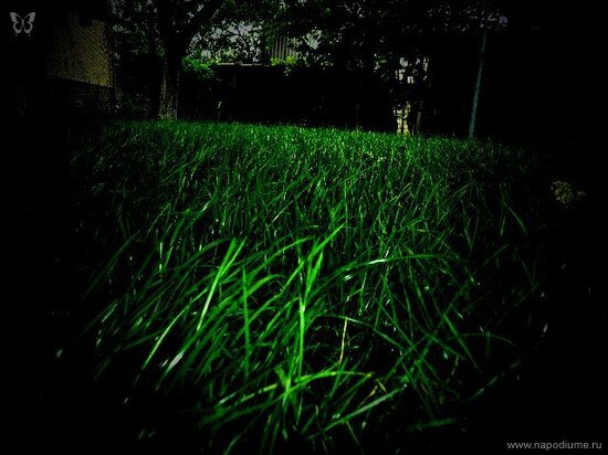 Фото Julia Tofan