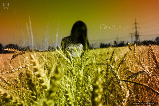 Фото Artyr Ginzo