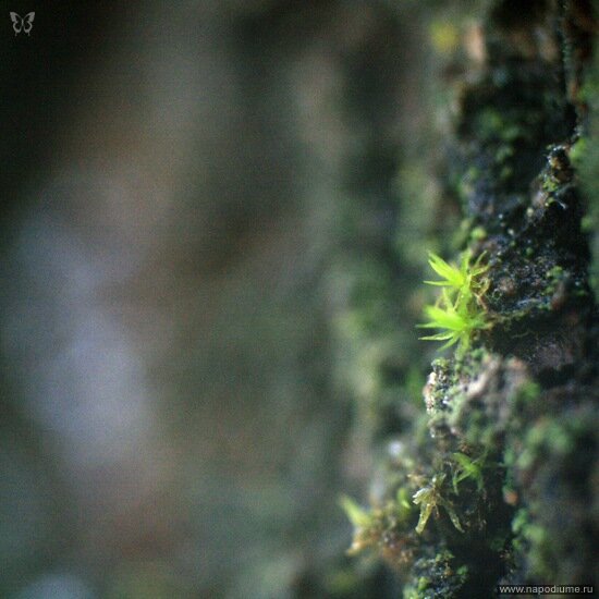 Фото Nataly SmileOnMe _