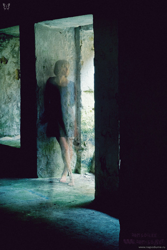 Фото Dimgo Lee