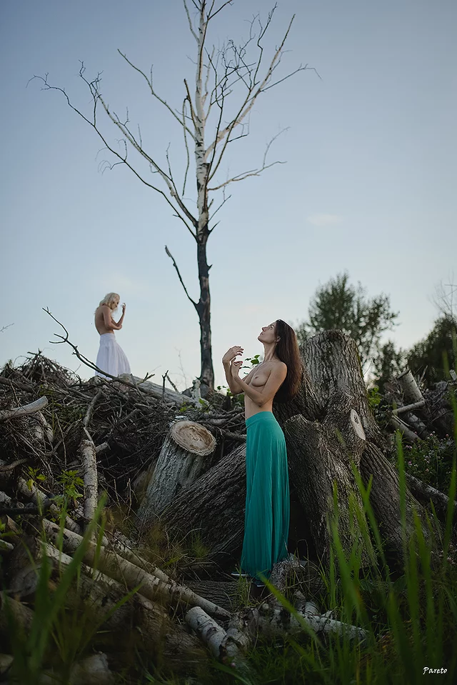 Foto von Andrew Pareto
