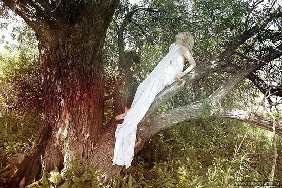 Фото Julia Brayn