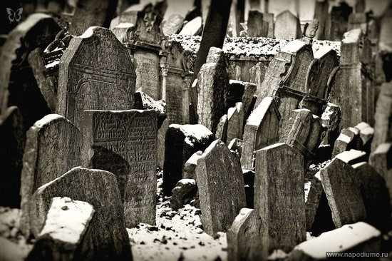 Фото Vladimir Porsh