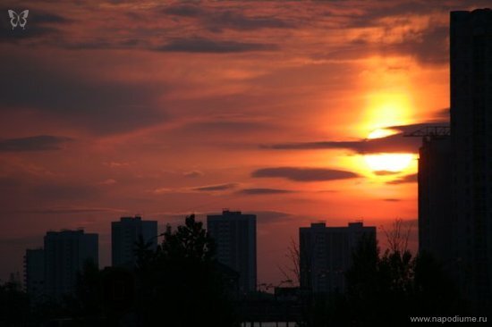 Фото Артур Покровский