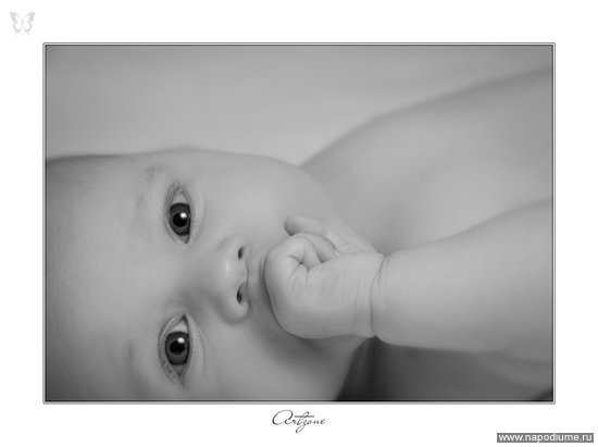 Фото Ренат Садыков