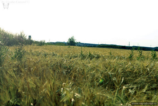Фото Elizabet Стебунова