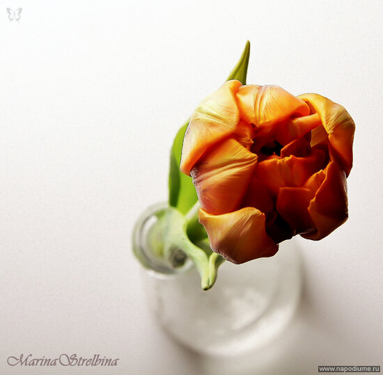 Фото Marina Strelbina