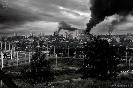 Фото Pitt Заболотский