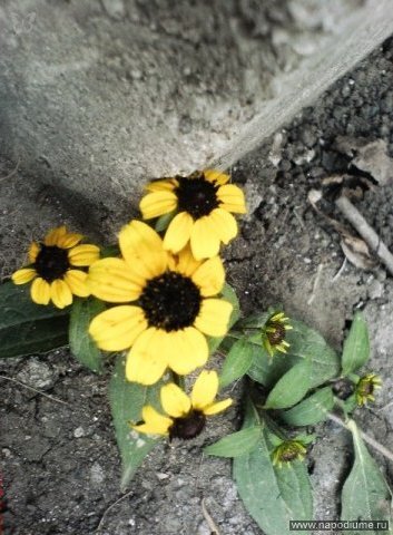 Фото Yulia Mamkeeva