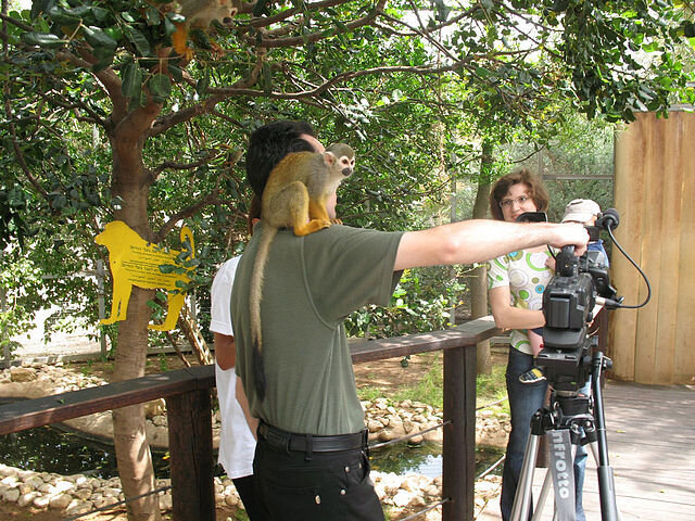 Фото Алексей Кругликов