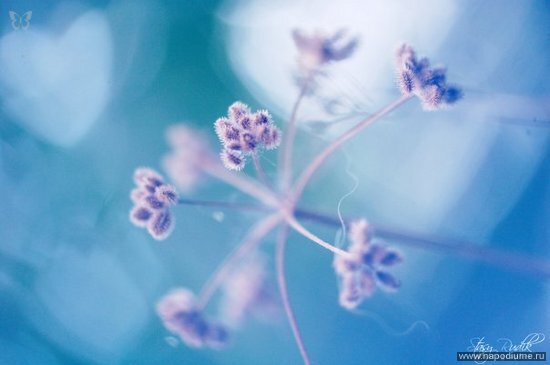 Фото Stasy Rudik