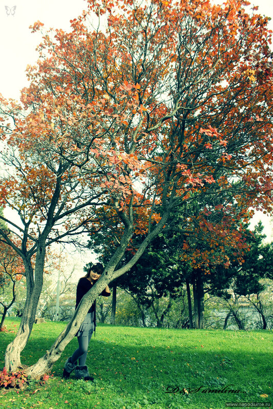 Фото Aminka Amilinka