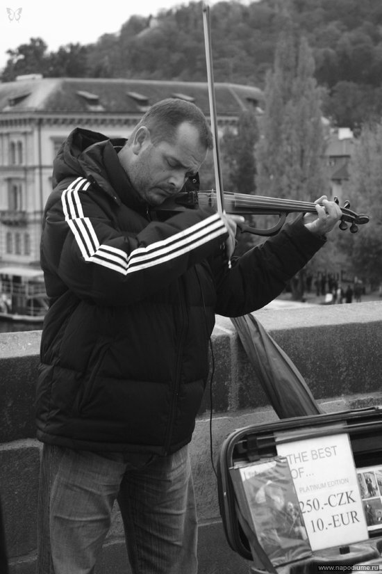 Фото Darja Maximova