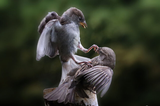 Фото dmitrij mitin