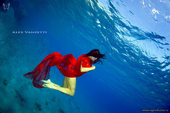 Фото Alex Vanzetti