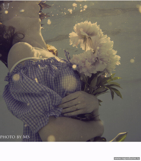 Фото Nikolay Legenda