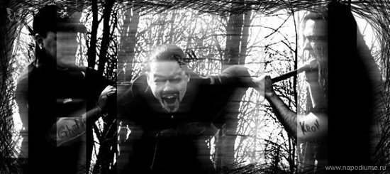 ◄empty shell► 