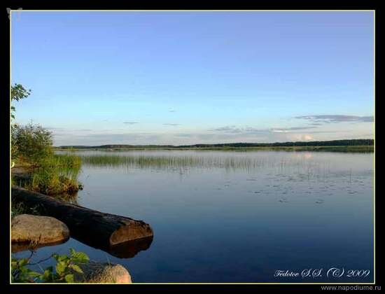 Фото Сергей Федотов