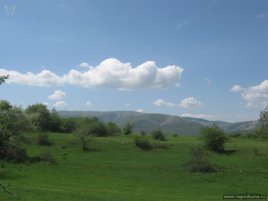 Фото Eugene Tonkoshkurik