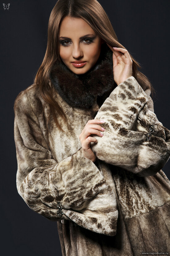 Fashion