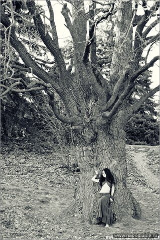 Фото Iva Basara