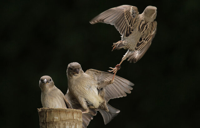 Фото dmitrij mitin