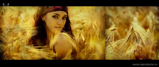 Фото Juliya Plashihina