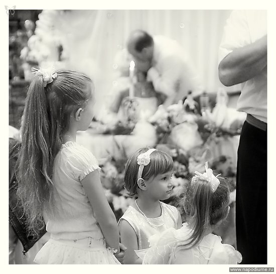 Фото Елена Ткаченко