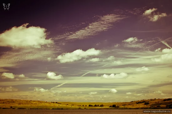 photo #1868363