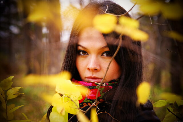 Фото Konstantin Vlasov