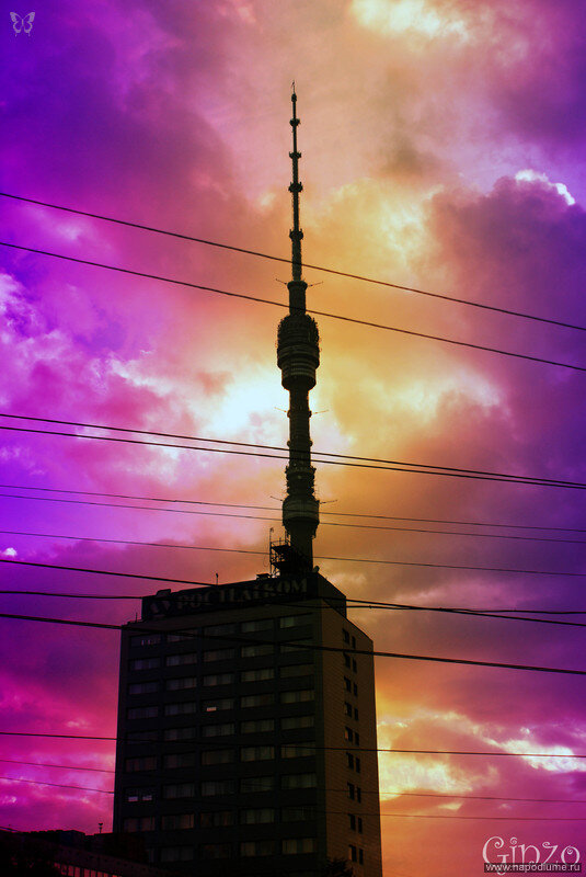 Фото Artyr Ginzo