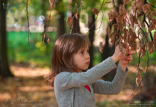 Фото Olga Novikova