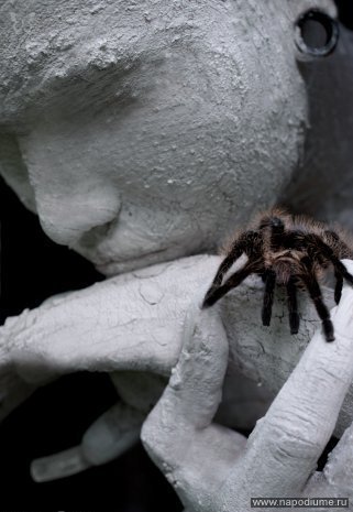 Natalia Zilakova's photo
