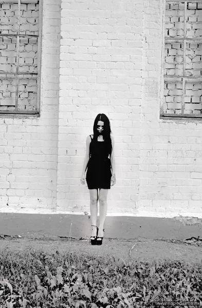 photo #1770474