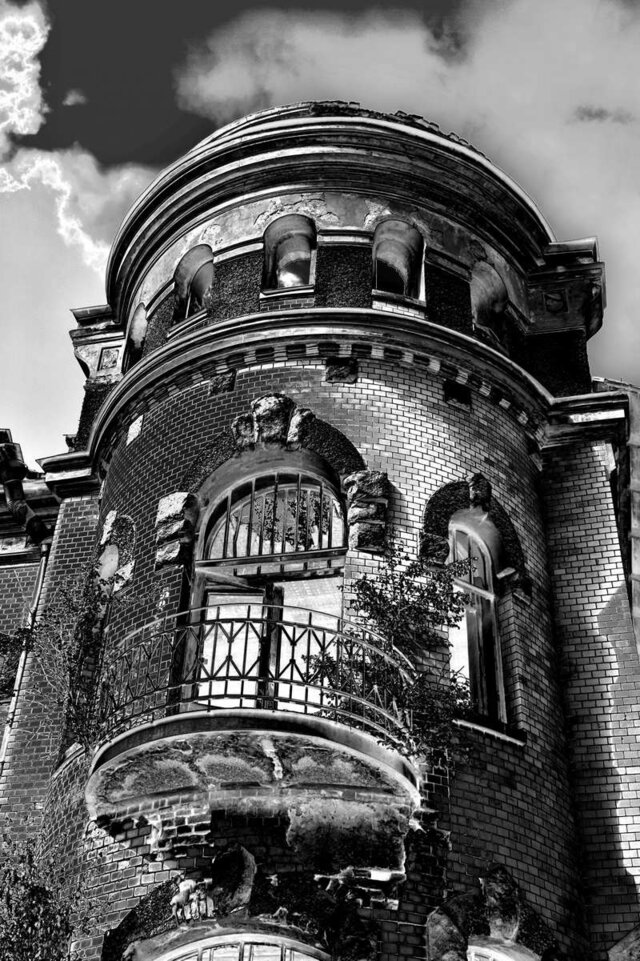 Фото Дмитрий Морозов