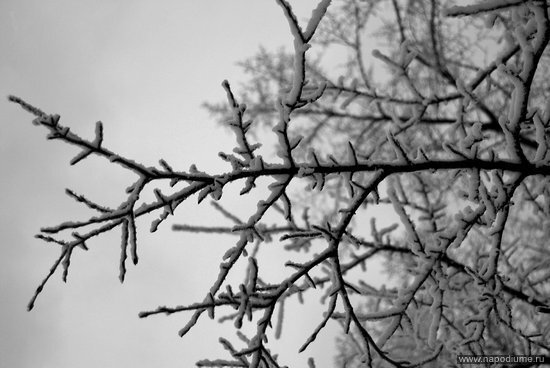 Фото Daria Aetova