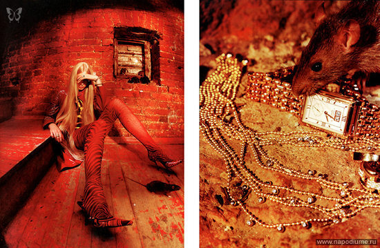 Art,  Fashion